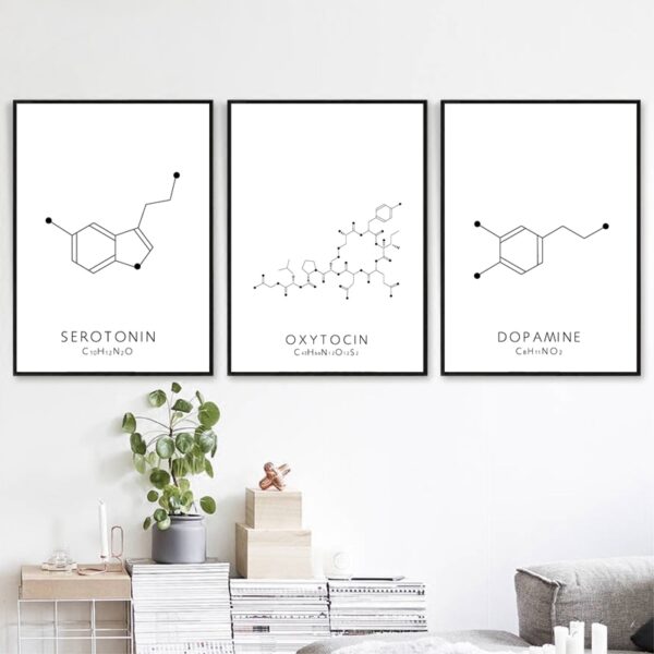Quadro decorativo molécula serotonina 5