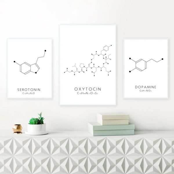 Quadro decorativo molécula serotonina 1