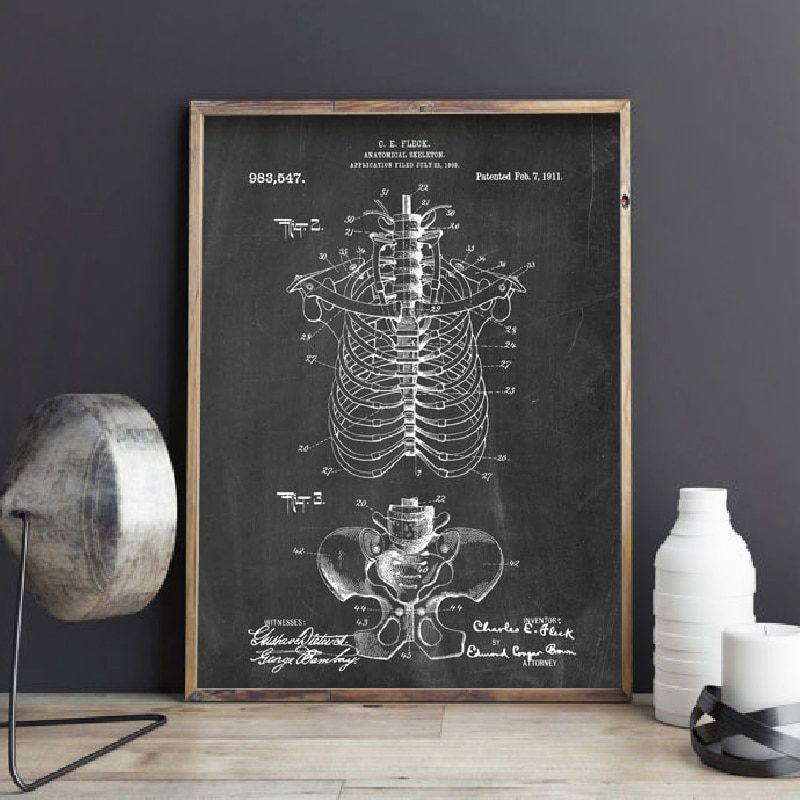 Quadro vintage anatomia 2