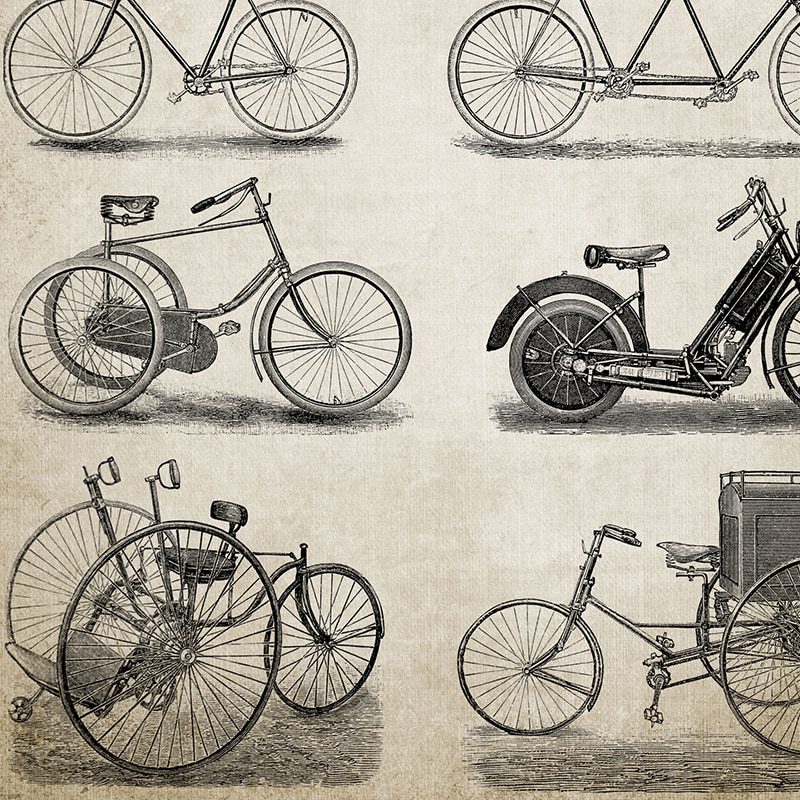Quadro vintage bicicletas 2