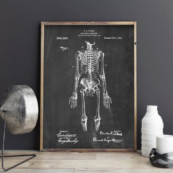 Quadro vintage anatomia 3