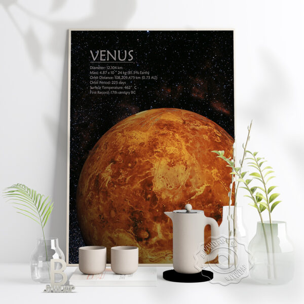 Quadro vintage Venus 1