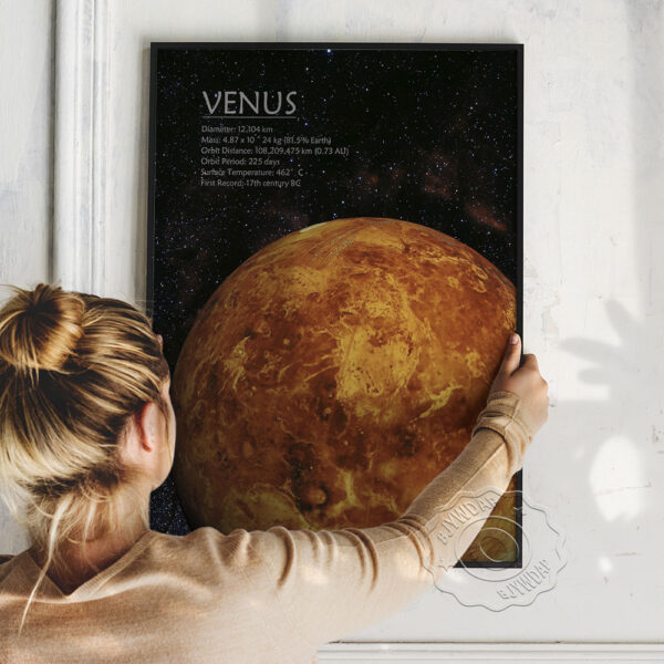 Quadro vintage Venus 4