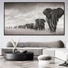 Quadro Natureza Elefantes 16
